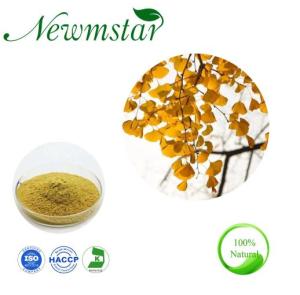Wholesale Plant Extract: Plant Extract Ginkgo Biloba Leaf Extract Herbal Extract Ginkgo Extract