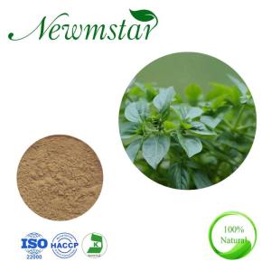 Wholesale herbal oil: 100% Natural Oregano Extract 10: 1 Herbal Extract with Factory Price &Free Samples