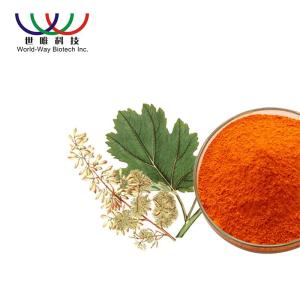 Wholesale insecticide treated: Macleaya Cordata Extract 60% Total Alkaloids