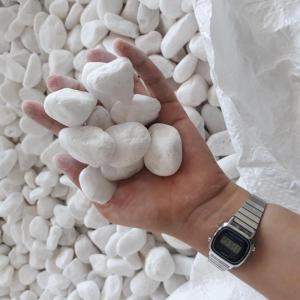 Wholesale landscaping: Snow White Pebble Gravel for Landscaping Decoration