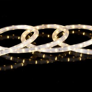 Wholesale led strip manufacturing: 220V 30D LED Rope Light