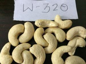Wholesale nut: Cashew Nuts W320