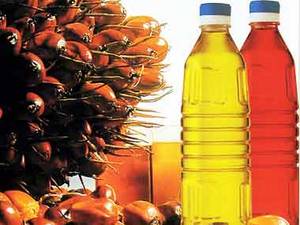 Wholesale crude oil: Crude Palm Oil