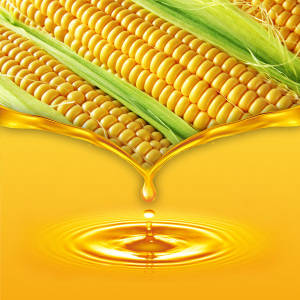 Wholesale colloidal test: Corn Oil