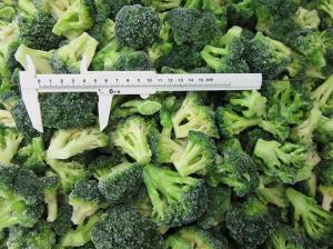 Wholesale broccoli: Frozen Broccoli