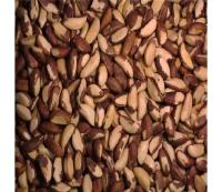 Sell brazil nuts