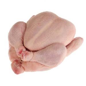 Wholesale chicken paw: Brazilian Premium Halal Frozen Whole Chicken