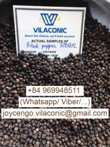 Wholesale vietnam tapioca starch: Pinhead Black Pepper 3mm Vietnam Origin