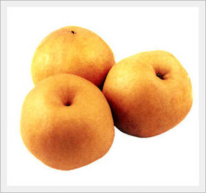 Wholesale Pears: Pear
