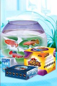 Wholesale Educational Toys: Magic Fish