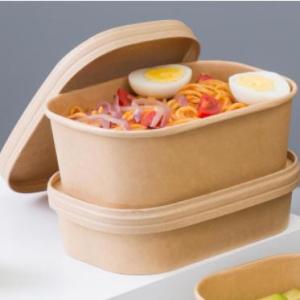 Wholesale plastic bowl: Paper Square Salad Bowl with Plastic Lid or Paper Lid 500ml 650ml 750ml 1000ml