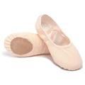 Wholesale girl shoes: Ballet Dance Shoes for Girls