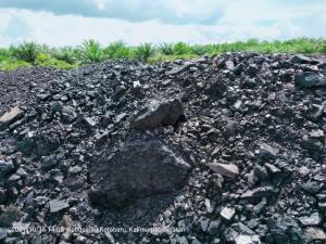 Wholesale indonesia: Coal From Borneo, Indonesia
