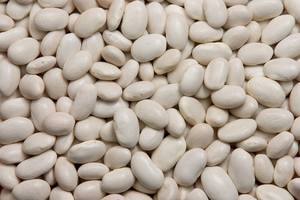 Wholesale white beans: White Kidney Beans for Sale