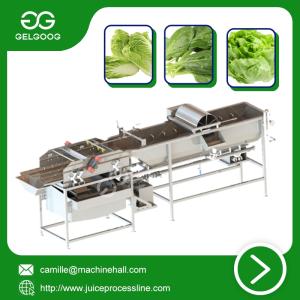 Wholesale vegetable washing machine: Vortex Type Vegetable Washing Machine New Type Fruit Washing Machine