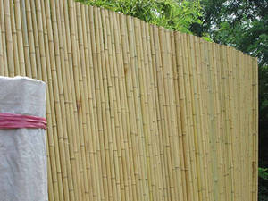 Wholesale bamboo stakes: Eco-friendly Natural Bamboo Fence for Garden