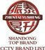 Shandong Zhentai Group Co.,Ltd Company Logo