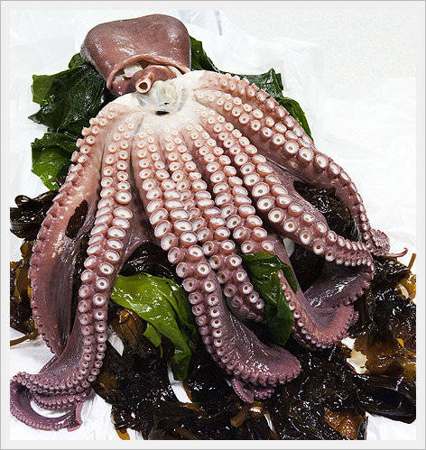 Sell Octopuses in the East Sea