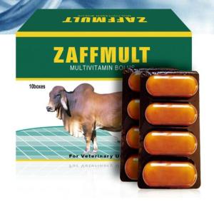 Wholesale vitamin b12: Multivitamin Bolus
