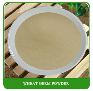 Wholesale chocolate powder flavor: Hot Sale 100% Health , Rich Nurtrition Instant Wheat Germ Powder