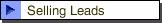 Selling Leads