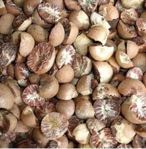 Wholesale whole betel nut: Arecanut / Betelnut Indonesia Good Quality 90-95%