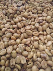 Wholesale Coffee Beans: Liberica Coffee Indonesia