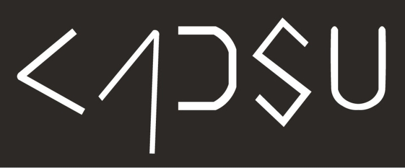 Kadsu Design Company Logo
