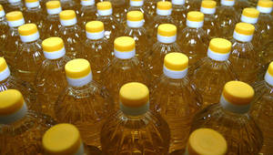 Wholesale soap: Sunflower Cooking Oil