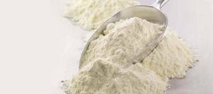 Wholesale Dairy: Skim Milk Powder