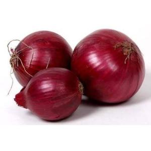 Wholesale chilli: Red Onion