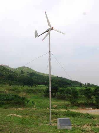 FD-1000w Wind Turbine Generator