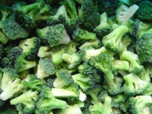 Wholesale broccoli: IQF Frozen Organic Broccoli