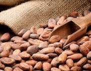 Wholesale loss weight: Cocoa Beans