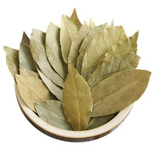 Wholesale vegetable seeds: Bay Leaf Organic Laurel Dried Leaves Laurus Nobilis Leaf Indonesian Spice