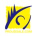 Beijing Proudsale Export Trading Company. Company Logo