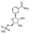 Wholesale niacin: Beta-Nicotinamide Mononucleotide