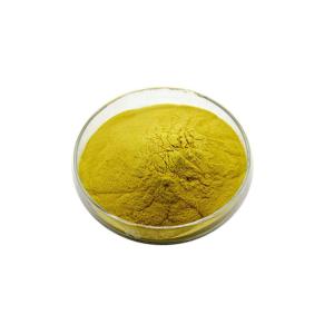 Wholesale Baicalin: High Quality Baicalin Powder Scutellaria Baicalensis Extract 80%-90%