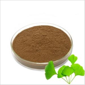 Wholesale ginkgo biloba extract usp: Raw Material Ginkgo Biloba Extract USP Grade Natural Ginkgo Leaf Powder