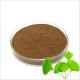 Raw Material Ginkgo Biloba Extract USP Grade Natural Ginkgo Leaf Powder