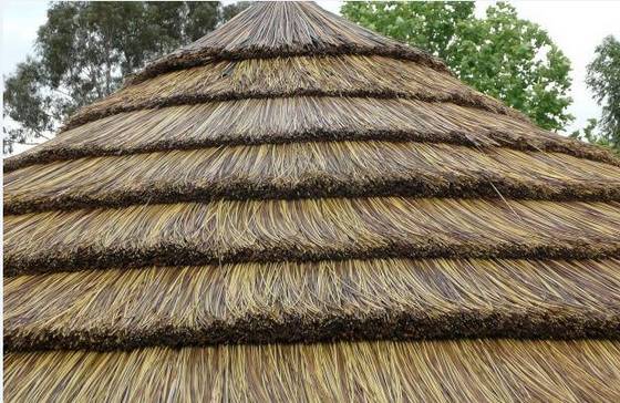 Sell Reed Synthetic Thatch(id:19916693) from Guangzhou Kangxue ...