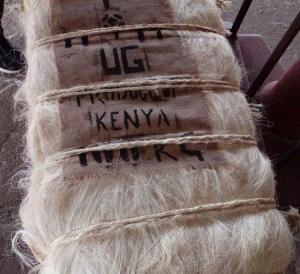Wholesale Other Fiber: Sisal Fiber Bales in 100, 200 and 250 Kgs