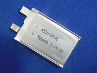 Lithium Polymer Battery - ShenZhen Century New Energy ...