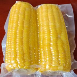 Wholesale vacuuming: Boiled Sweet Corn On Cob