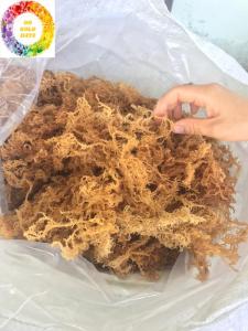 Wholesale dried eucheuma: Dried Sea Moss