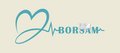 BORSAM Biomedical Instruments Co.,Ltd. Company Logo