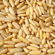 Wholesale Pine Nuts: Raw Pine Nuts in Shell