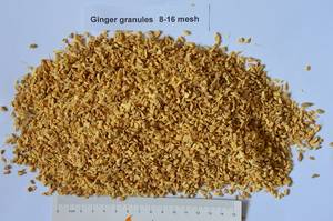 Wholesale ginger flake: Dried Ginger/Dehydrated Ginger Granules,Powder, Flakes and Whole Ginger