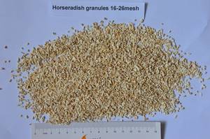 Wholesale zinc granule: Dried Horseradish/Dehydrated Horseradish Flakes,Powder, Granules