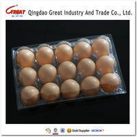 Sell plastic clear egg tray all holes